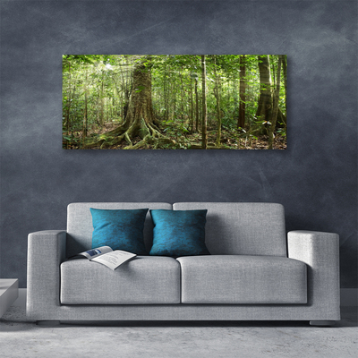 Foto op canvas Natuur jungle bosbomen