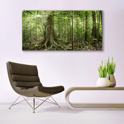 Foto op canvas Natuur jungle bosbomen