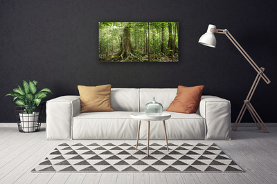 Foto op canvas Natuur jungle bosbomen