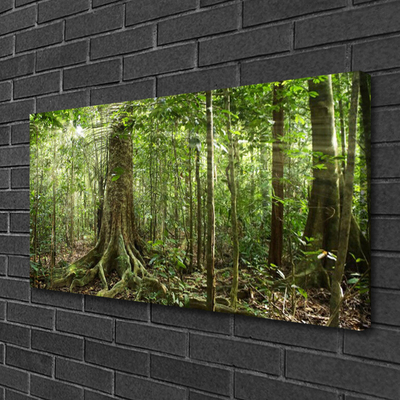 Foto op canvas Natuur jungle bosbomen