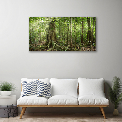 Foto op canvas Natuur jungle bosbomen