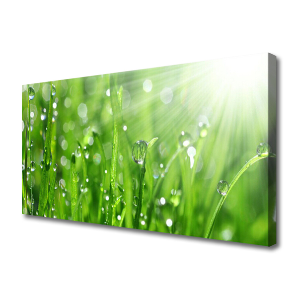 Foto op canvas Nature grass drops