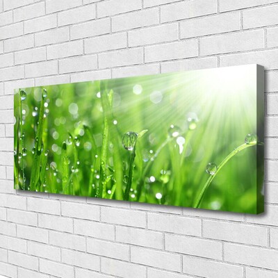 Foto op canvas Nature grass drops