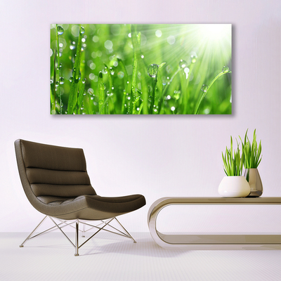 Foto op canvas Nature grass drops