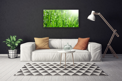 Foto op canvas Nature grass drops