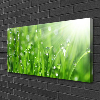 Foto op canvas Nature grass drops