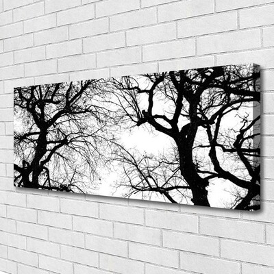 Foto op canvas Bomen natuur black and white