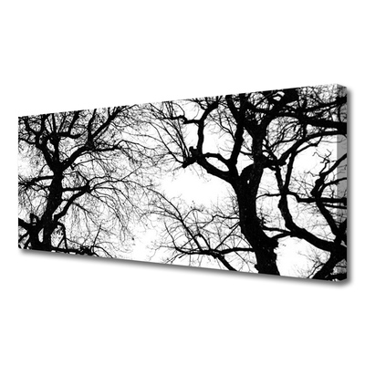 Foto op canvas Bomen natuur black and white