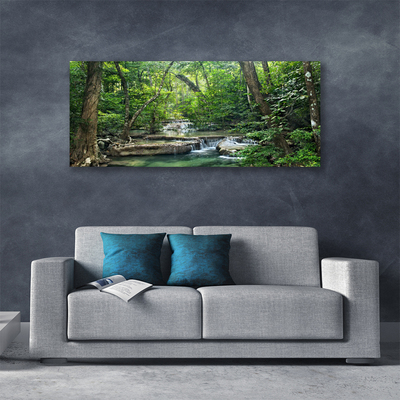 Foto op canvas Bos bos nature nature
