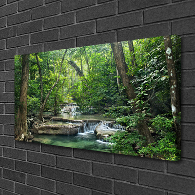 Foto op canvas Bos bos nature nature