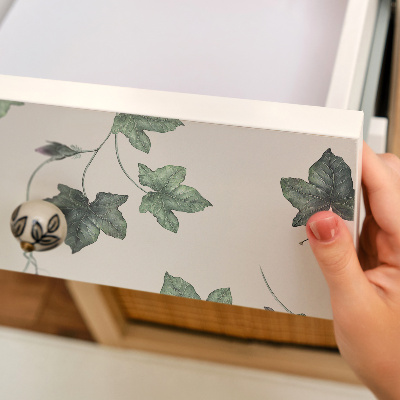 Plakfolie meubels Klimopbladeren