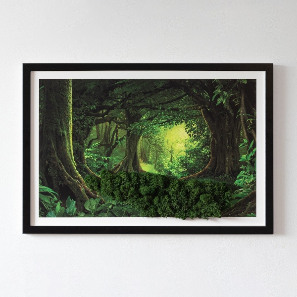 Schilderij mos Tropische jungle