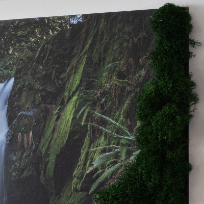 Levend mos schilderij Waterval omringd door bomen