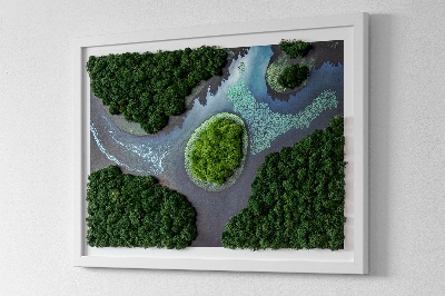 Mosschilderij Eiland op de backwaters