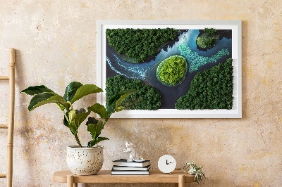 Mosschilderij Eiland op de backwaters