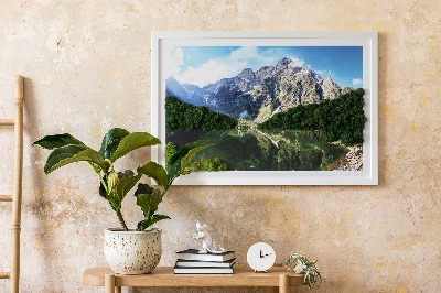 Schilderij mos Tatragebergte Morskie Oko