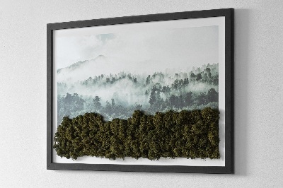 Schilderij met mos Bos in de mist