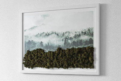 Schilderij met mos Bos in de mist