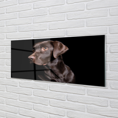 Glas schilderij Bruine hond