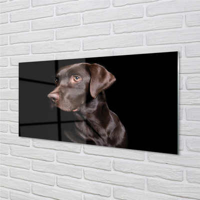 Glas schilderij Bruine hond