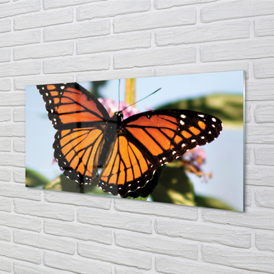 Foto op glas Kleurrijke vlinder