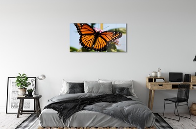 Foto op glas Kleurrijke vlinder