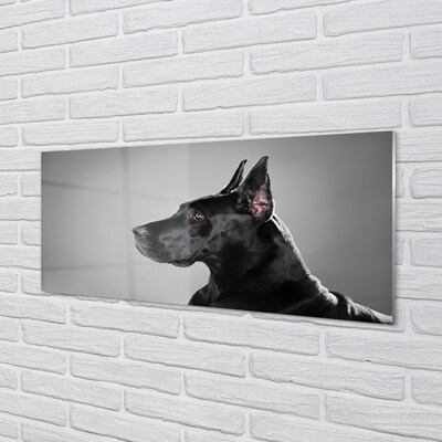 Glas schilderij Zwarte hond