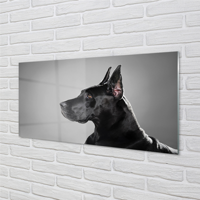 Glas schilderij Zwarte hond