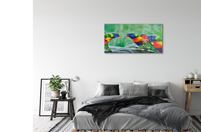 Foto op glas Kleurrijke papegaaiboom