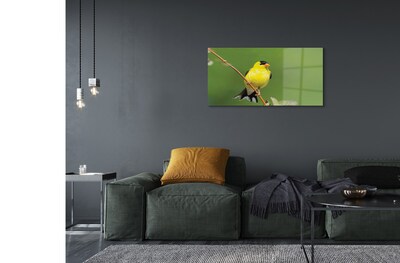 Foto op glas Gele papegaai