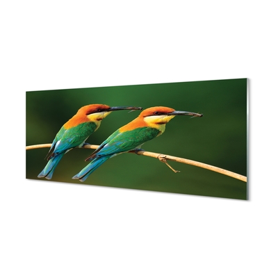 Foto op glas Kleurrijke papegaaien op een tak