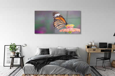 Foto op glas Kleurrijke vlinderbloem
