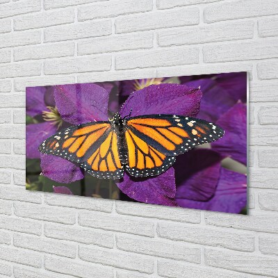 Foto op glas Kleurrijke vlinderbloemen
