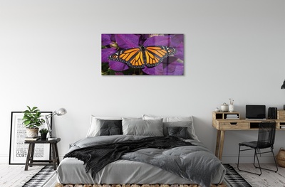 Foto op glas Kleurrijke vlinderbloemen