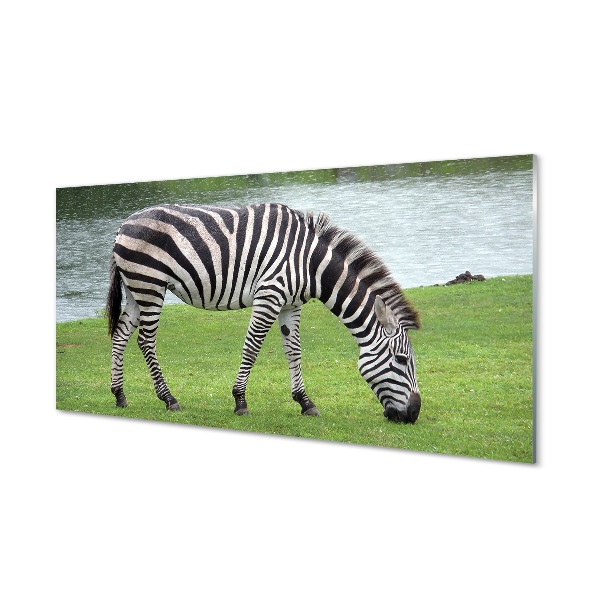 Glas schilderij Zebrapad