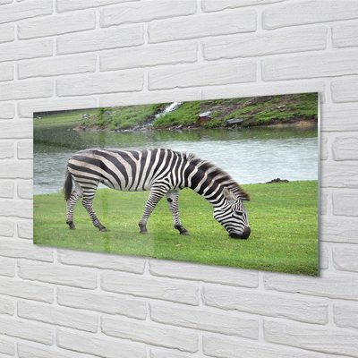 Glas schilderij Zebrapad