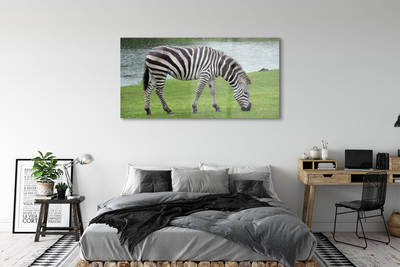 Glas schilderij Zebrapad