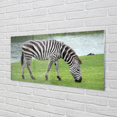 Glas schilderij Zebrapad