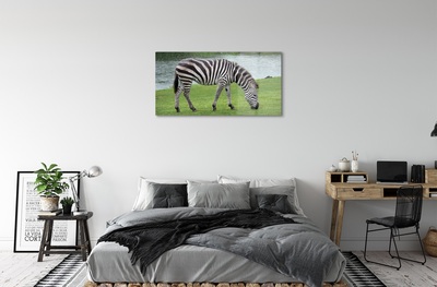 Glas schilderij Zebrapad