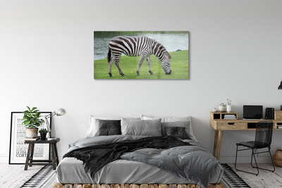 Glas schilderij Zebrapad