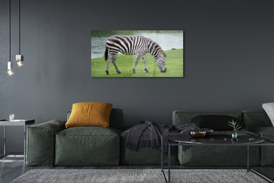 Glas schilderij Zebrapad