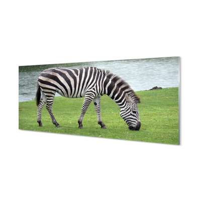 Glas schilderij Zebrapad