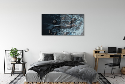Foto schilderij op glas Sirene zee