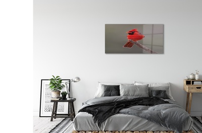 Foto op glas Een rode papegaai op een tak