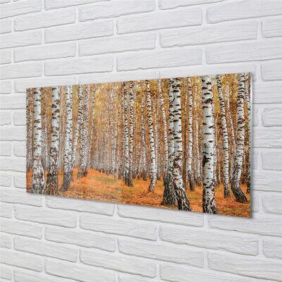 Glas schilderij Herfstbomen