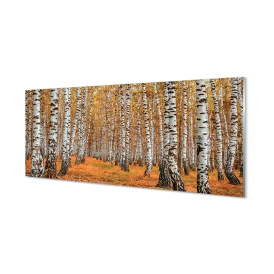 Glas schilderij Herfstbomen