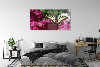 Foto op glas Vlinderbloemen