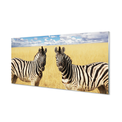 Glas schilderij Zebra-veld