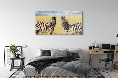 Glas schilderij Zebra-veld