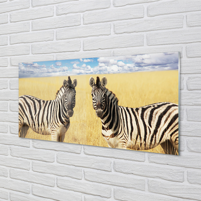 Glas schilderij Zebra-veld